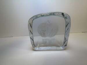 Vintage Vandermark 1984 Signed Art Glass Paperweight Ice Block IDC Apple 2.8lb